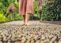 Reflexology Park