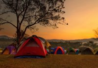 Camping Zone