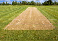 Cricket Pitch