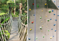 Rock Climbing & Rope Bridge