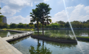 Embassy Springs Plots