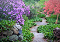 Sensory Garden Trail