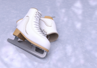 Skating Rink