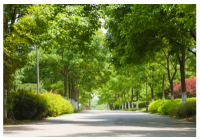 Central Boulevard