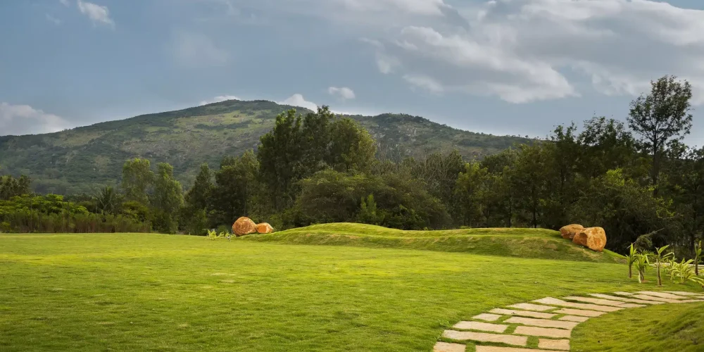 DSC09207-min-scaled-min