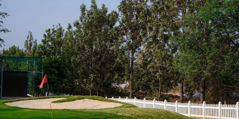 DSC09569-1-min-scaled-min