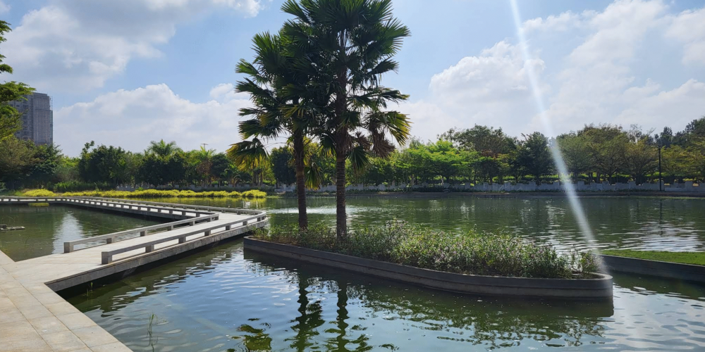 Embassy Springs Plots