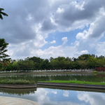 Embassy Springs Plots