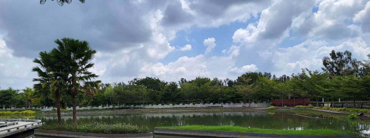 Embassy Springs Plots