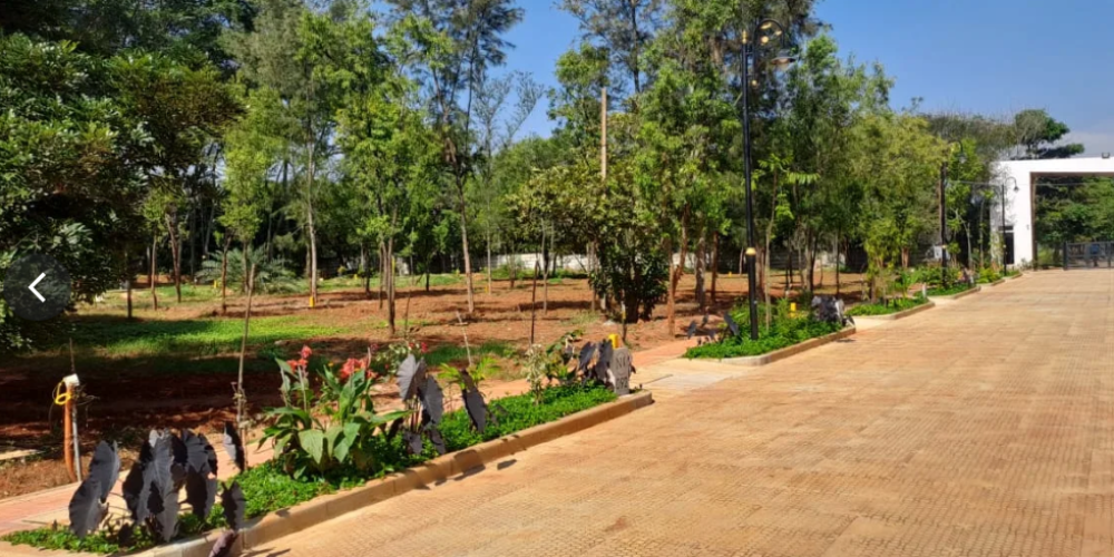 Screenshot 2025-07-20 122832