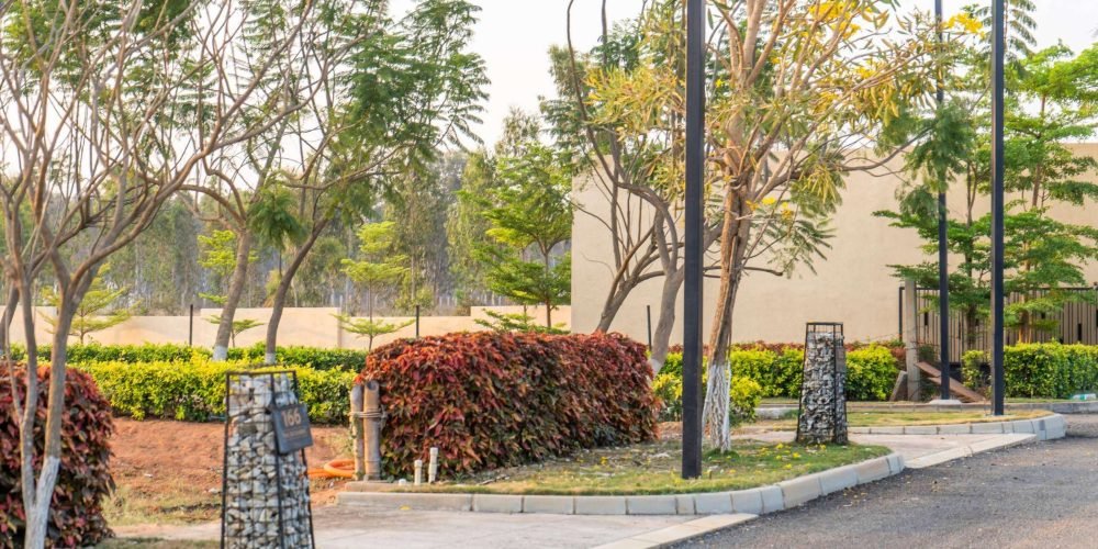 Screenshot 2025-08-07 113152