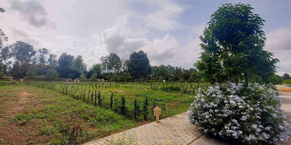 Screenshot 2025-08-07 124129