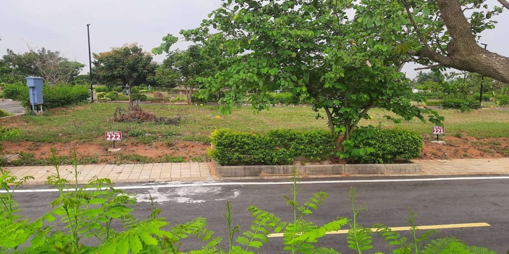 Screenshot 2025-08-07 160231