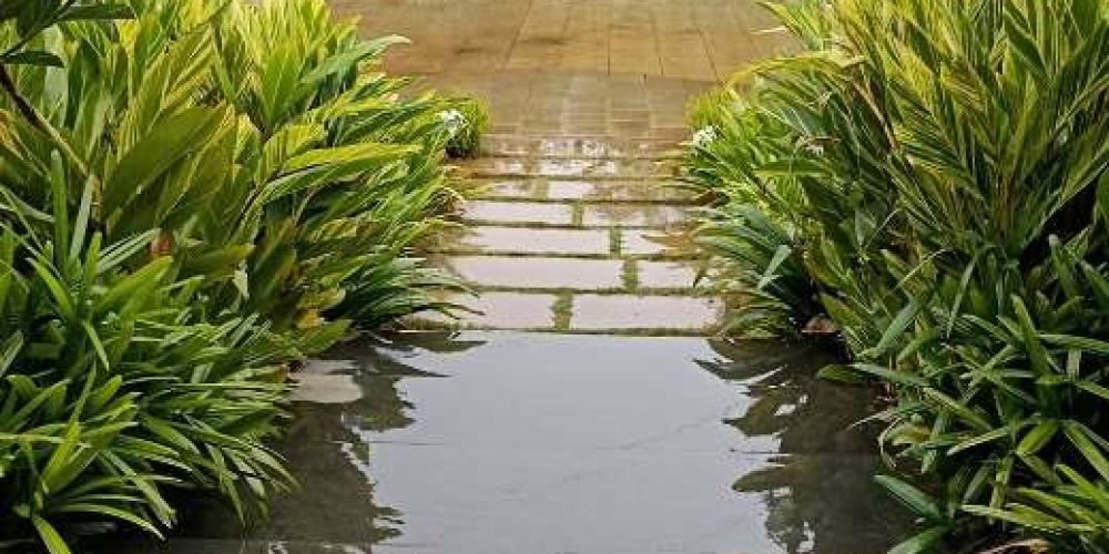 Screenshot 2025-08-08 151839