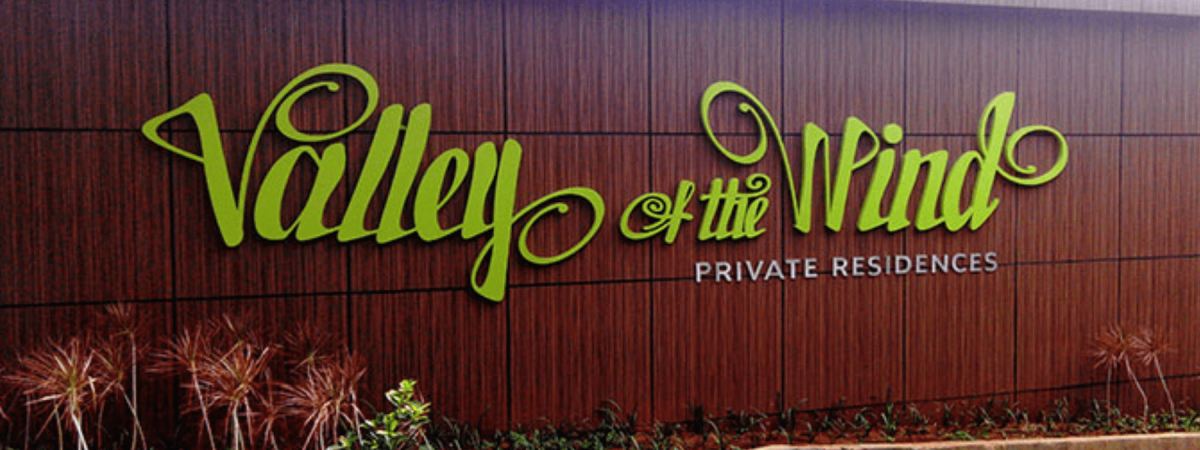 DivyaSree Valley Of The Wind