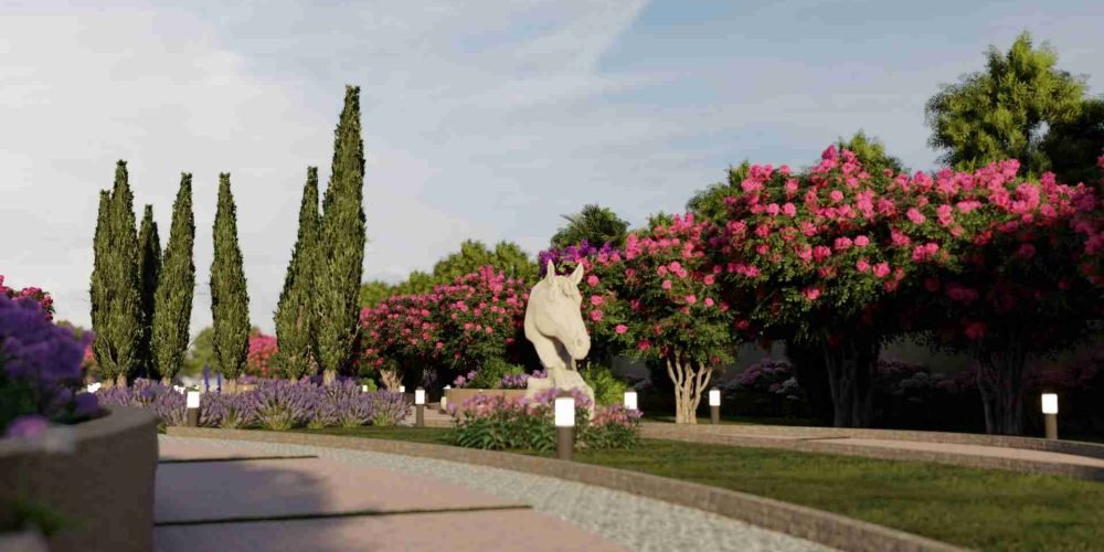 images_1